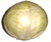 wei&szlig;kohl