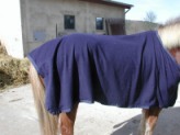 Abschwitzdecke