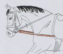 Anbringung Ausbinder