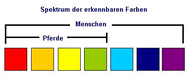 Fabspektrum