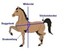 Gewichtsberechnung