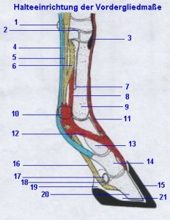 Halteeinrichtung