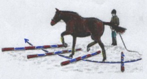 Longenarbeit mit Stangen