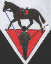 Longierdreieck