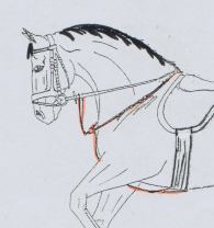 Anbringung Martingal