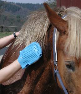 Das Blaue ist der Massagehandschuh. Wirklich klasse