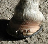 N&auml;gel